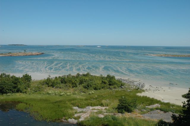 dsc_0251