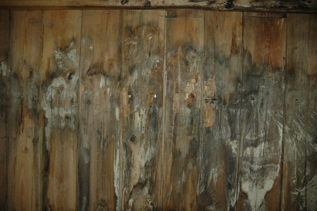 dsc_0292