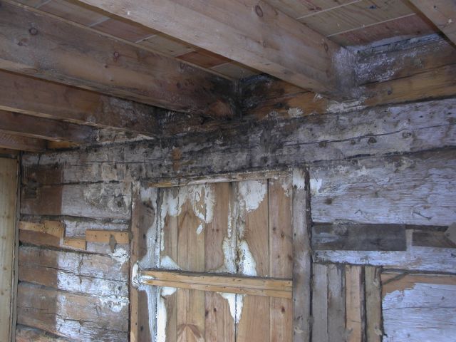 dscn4387