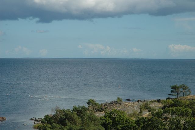 dsc_0334