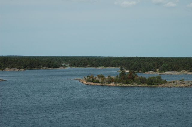dsc_0595