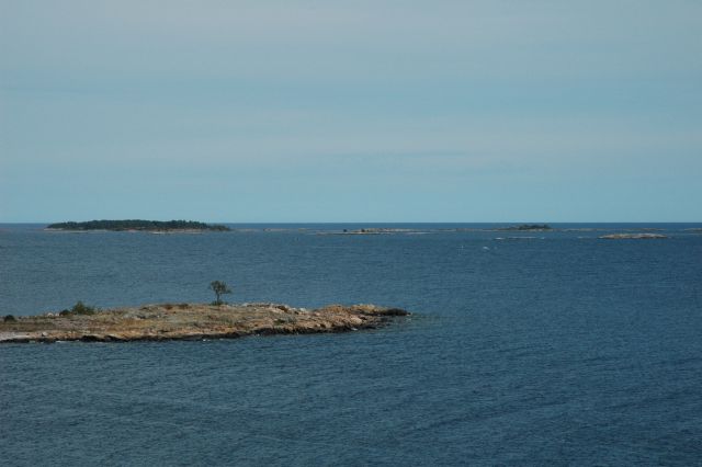 dsc_0608