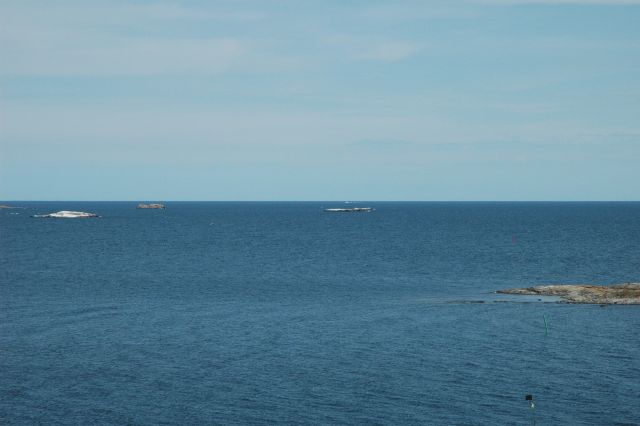 dsc_0612