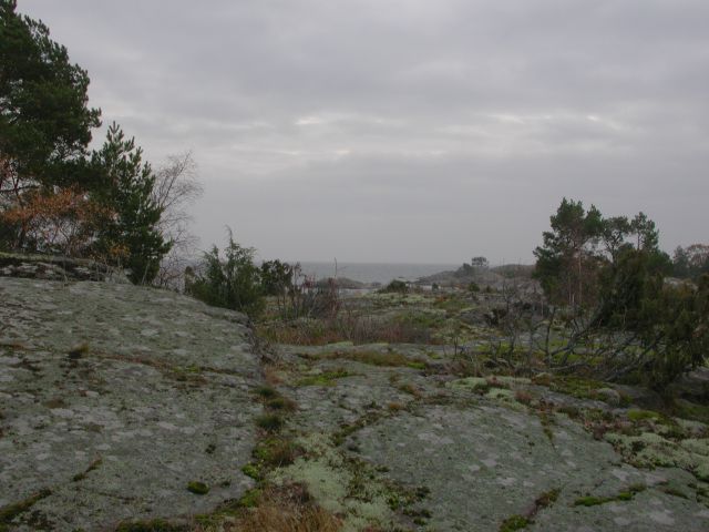 dscn4419