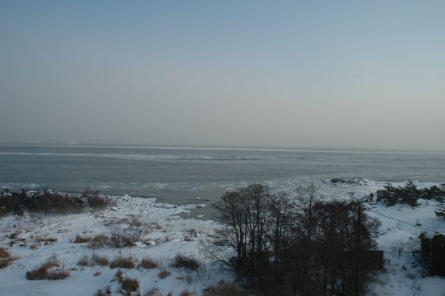 Vinterskrud